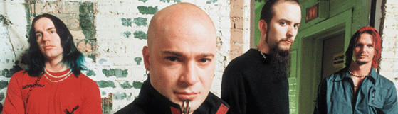 Disturbed