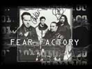 www.fearfactory.com